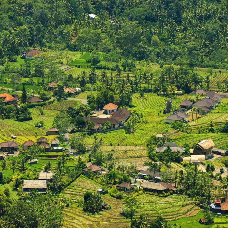 Day 7 _ Private Rice-Field Walk Kastala to Tenganan Traditional Village (2)