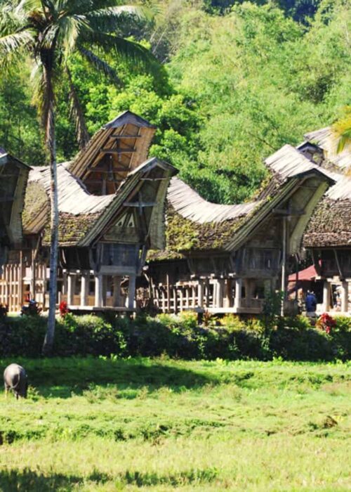 Tongkonan House at Kete Kesu World Heritage