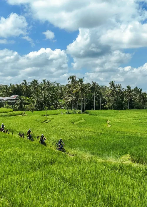 Cycling Sebatu Drone